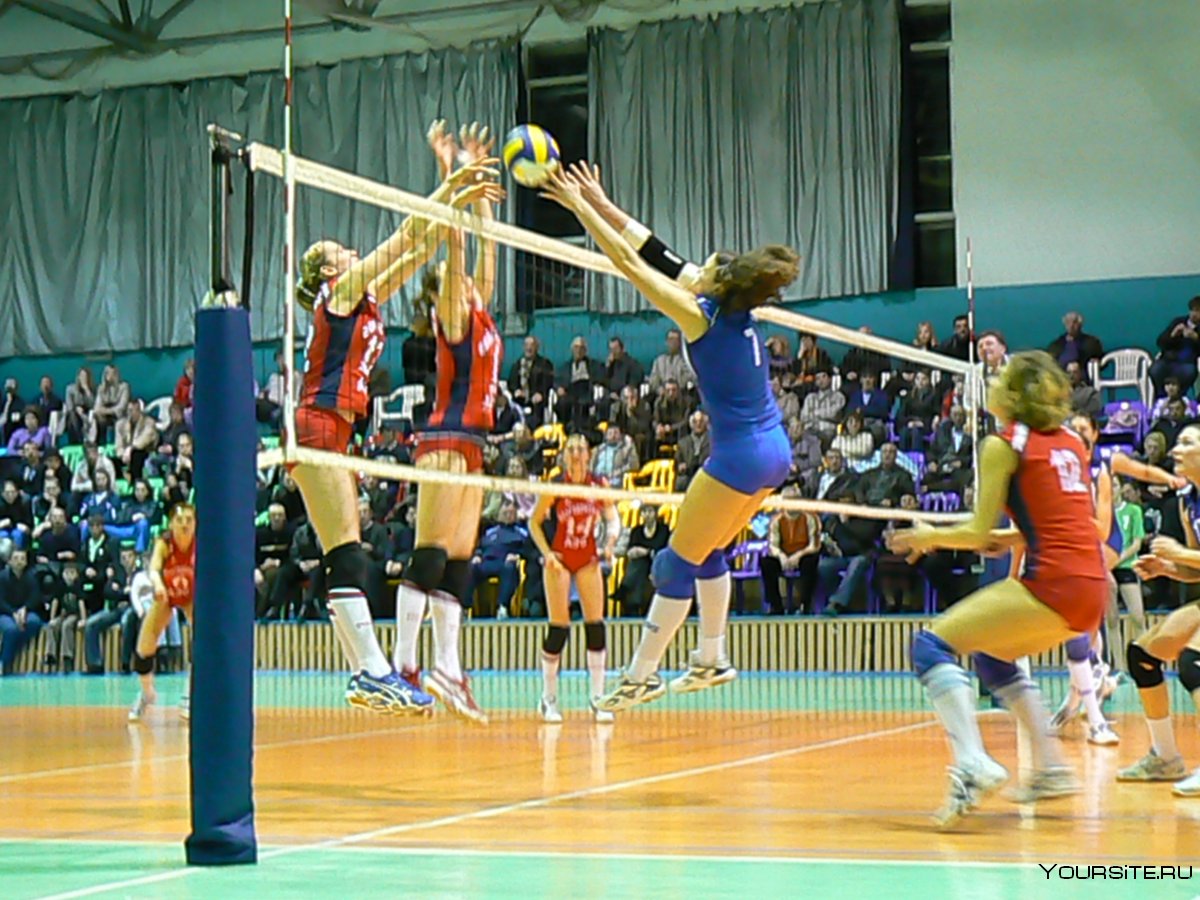 Спорт волейбол