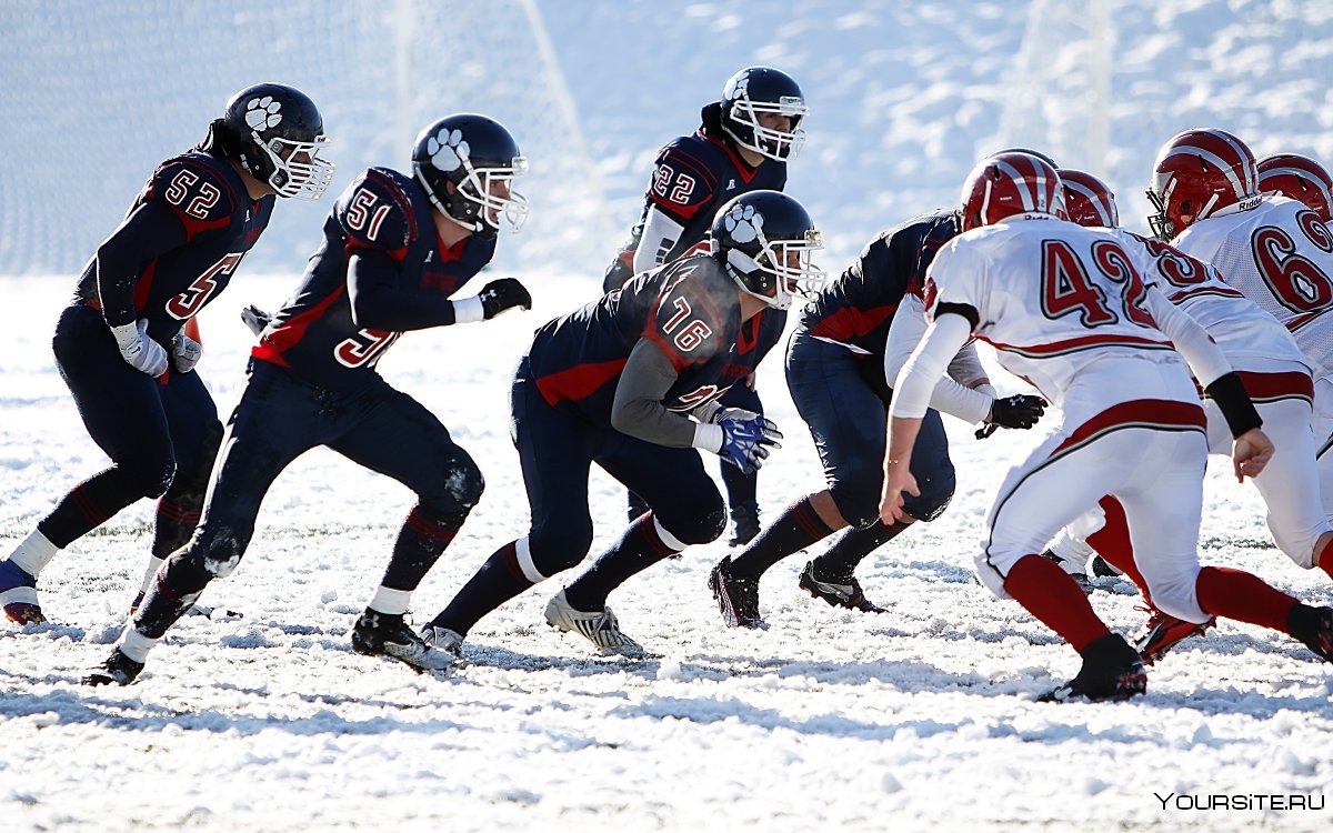 Bandy вид спорта