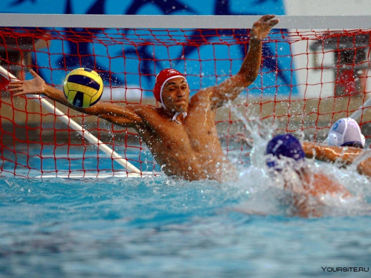 Water Polo Team