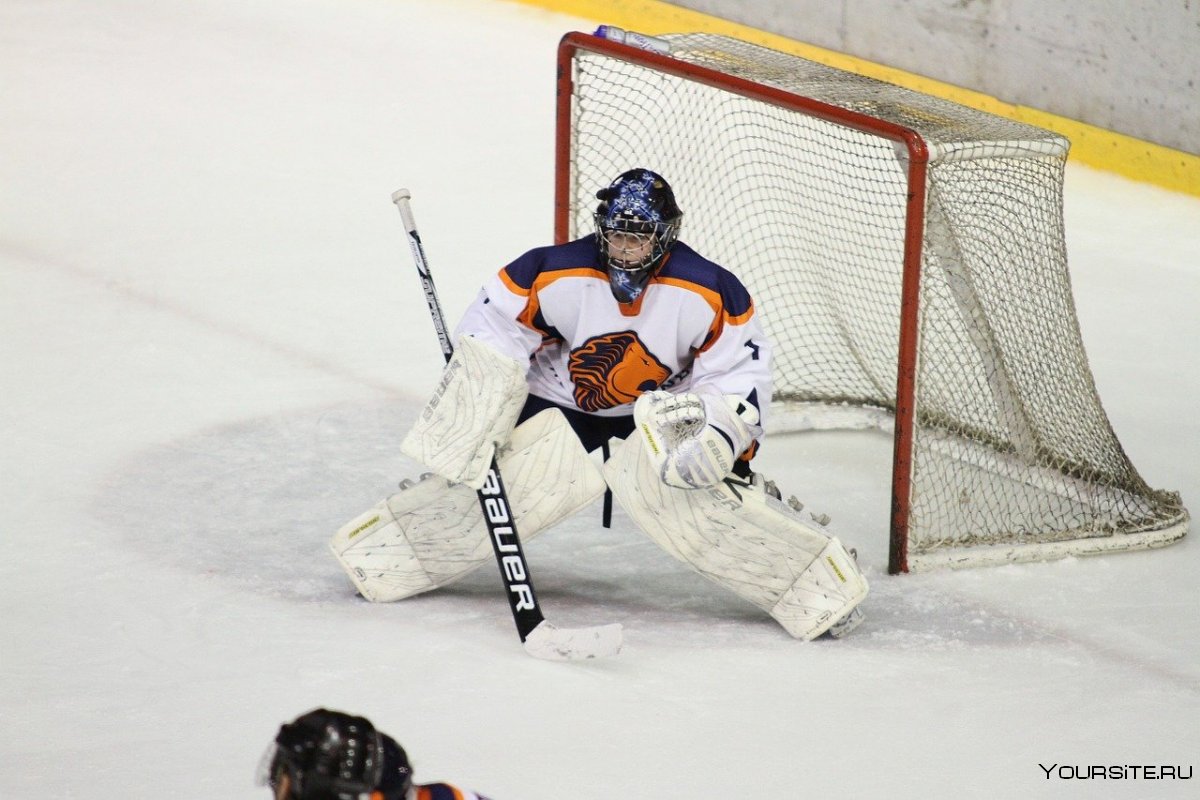 Вратарь голкипер хоккей