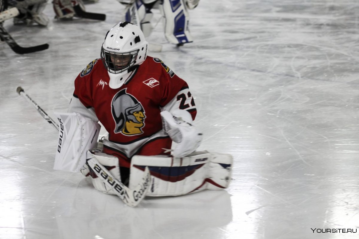 NHL 09 клюшки вратарей