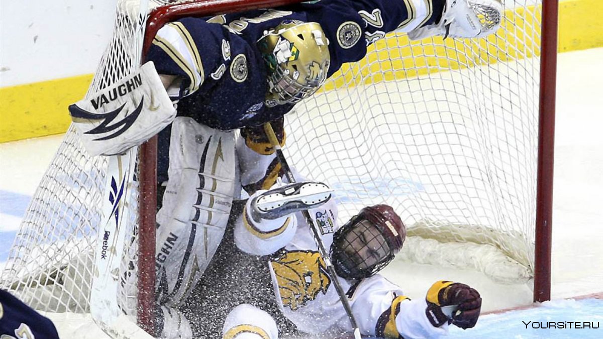 Лев Яшин вратарь хоккей