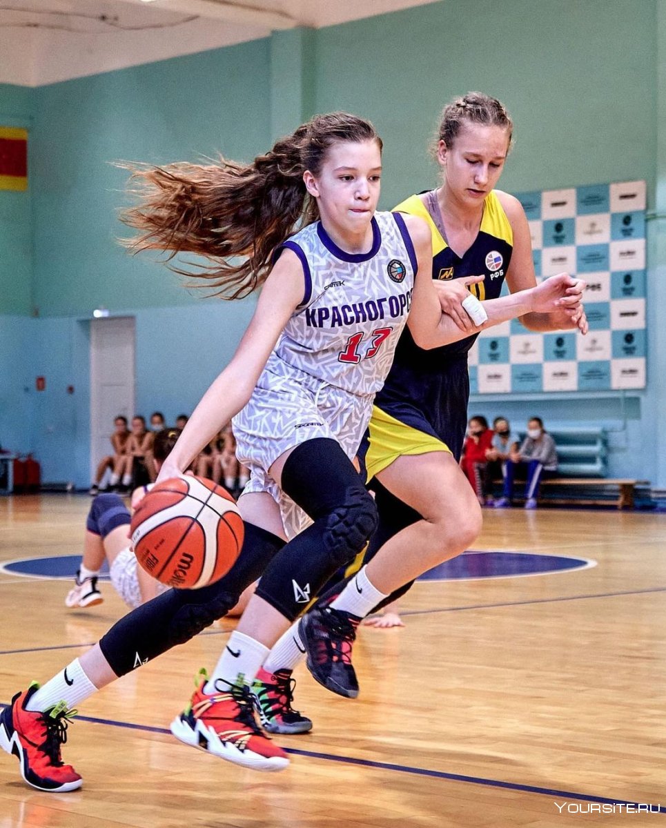 Вид спорта баскетбол