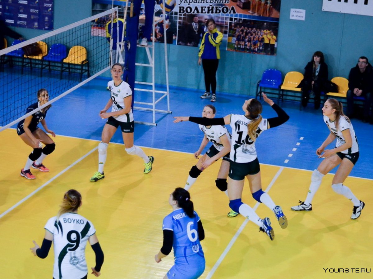 Елена Ирисова волейбол