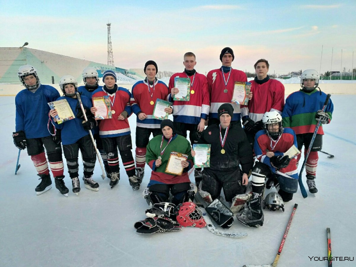 Игра "хоккей"