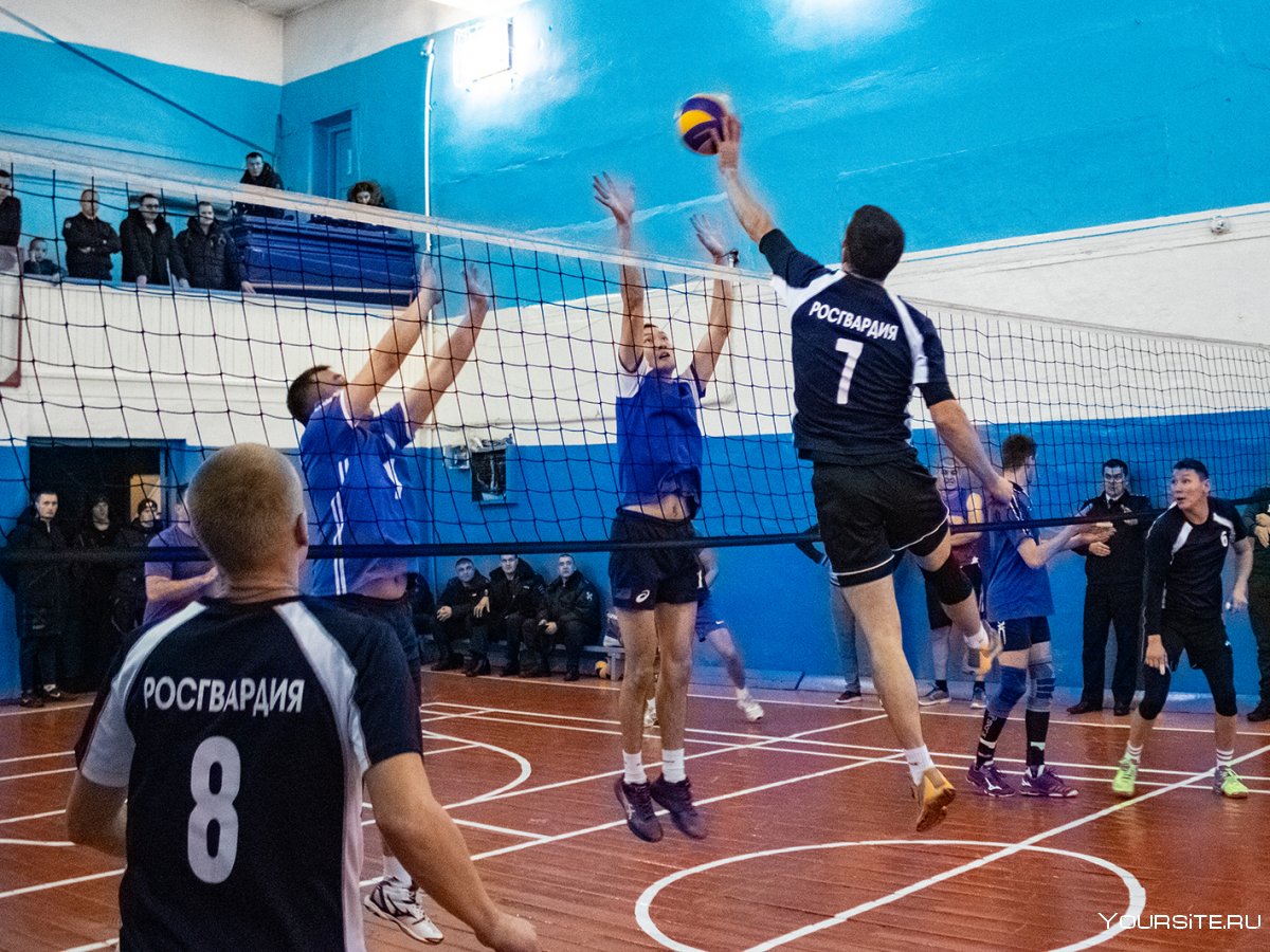 Волейбольная команда Республики Алтай