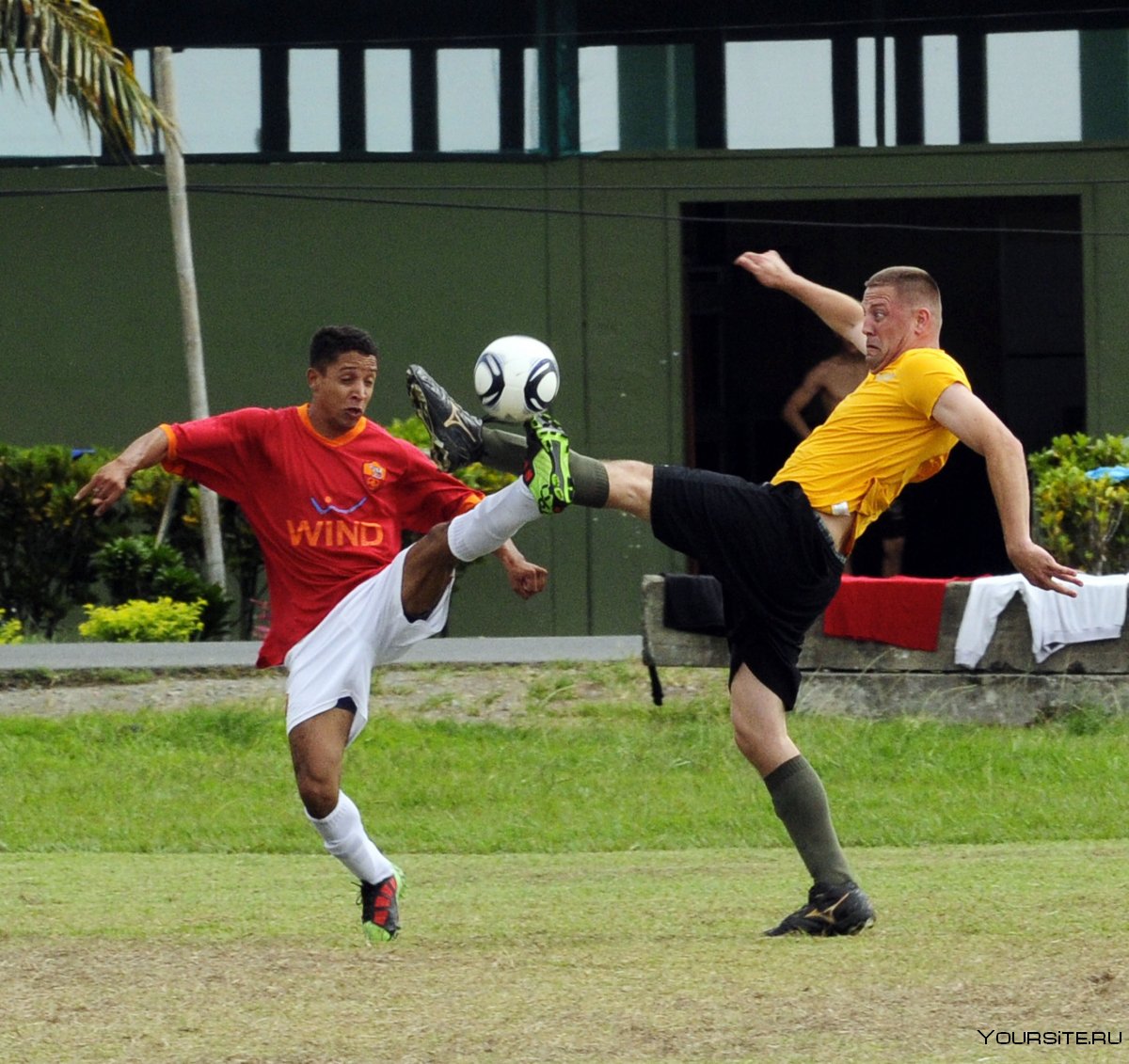 Скарлетт регби