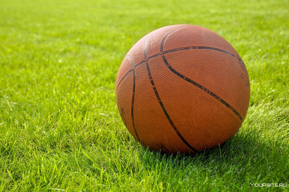 Баскетбольный мяч на корте