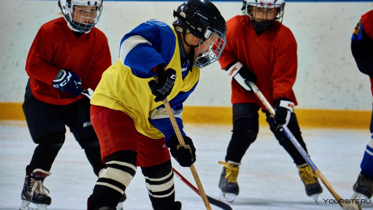 Тренировка детской хоккейной команды