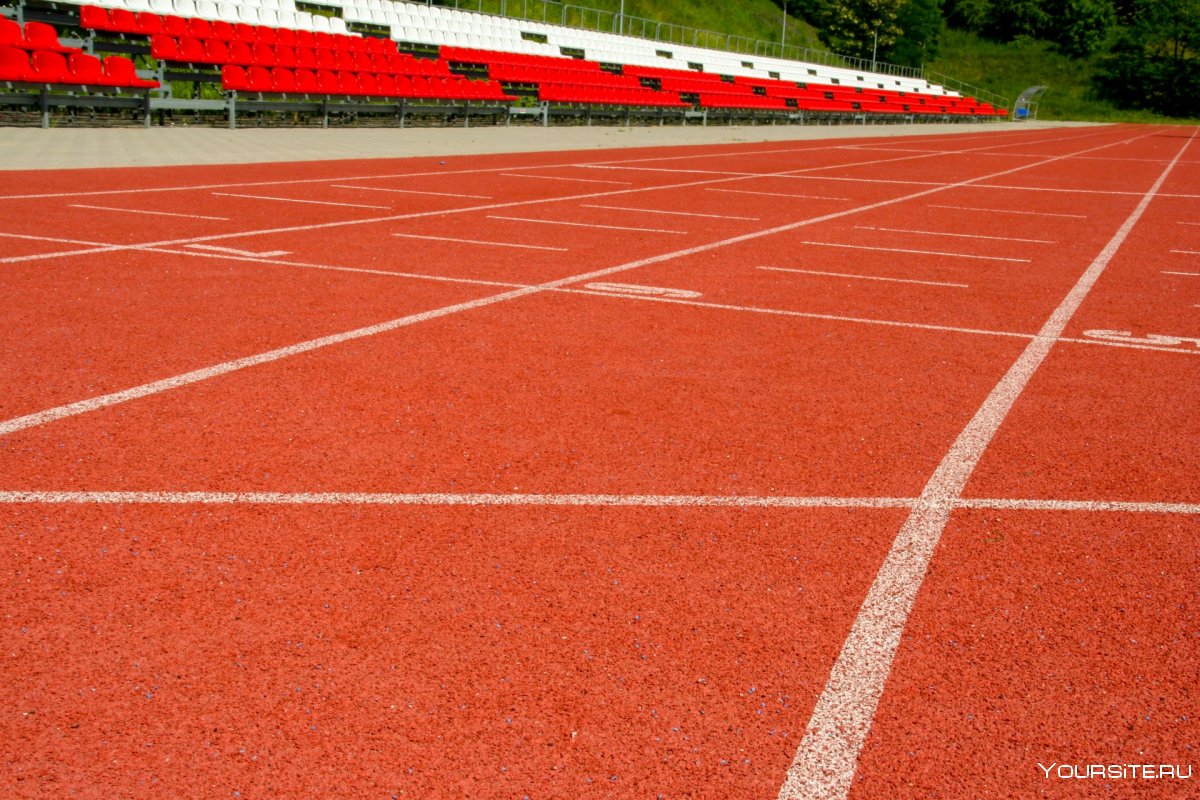 Беговая дорожка Jogging track