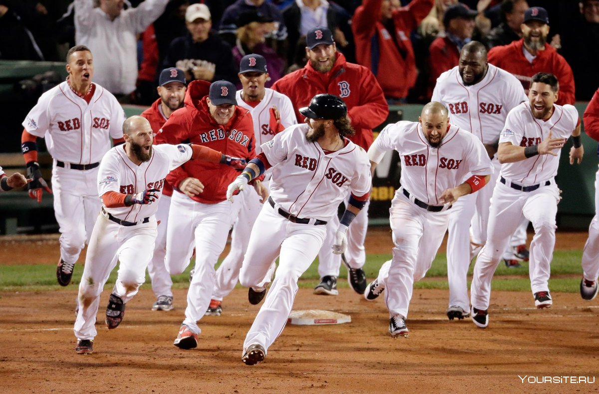 Бейсбольная команда Red Sox