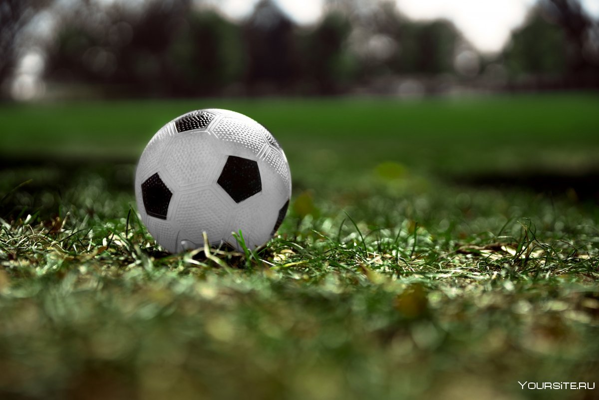 Мяч у ворот трава