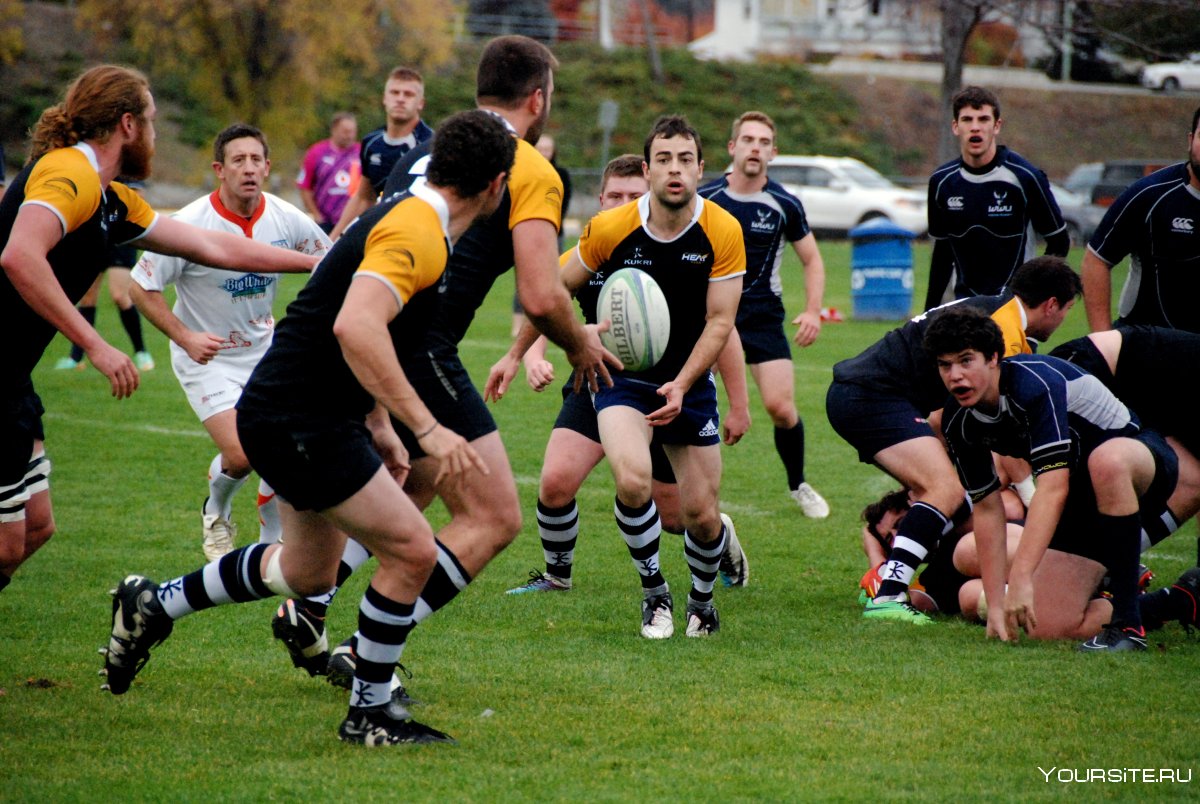 Rugby вид спорта