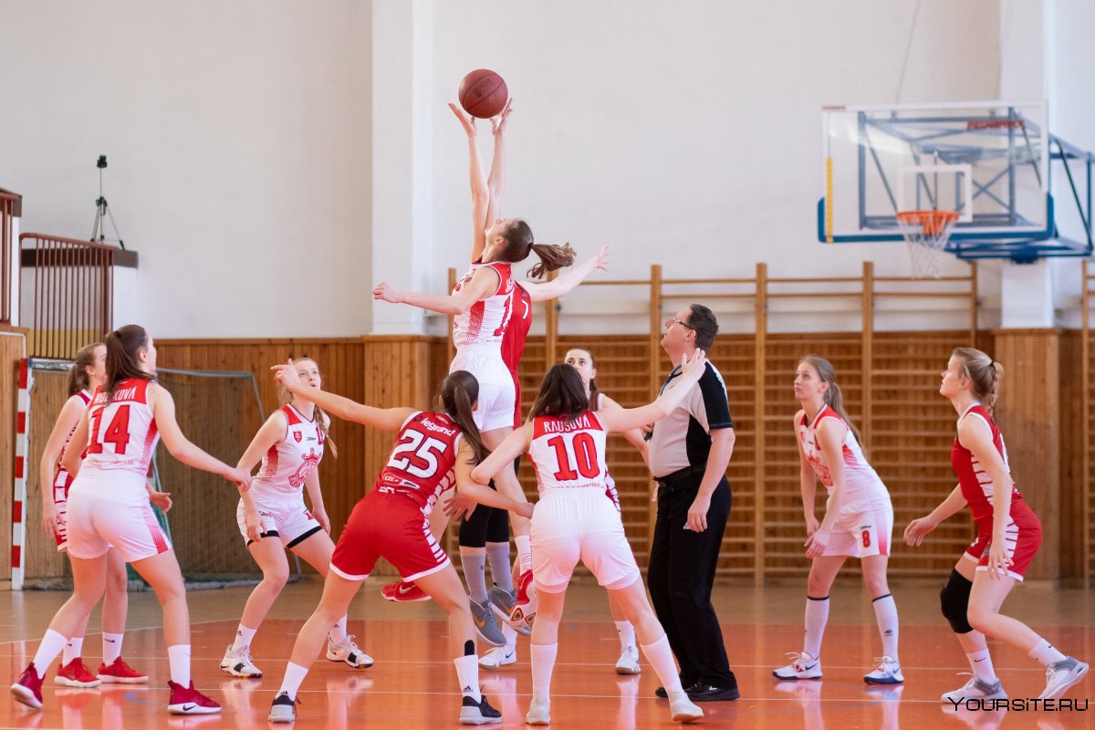 Баскетбол девушки тренировка