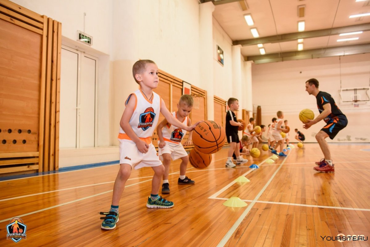 Баскетбол в детском саду