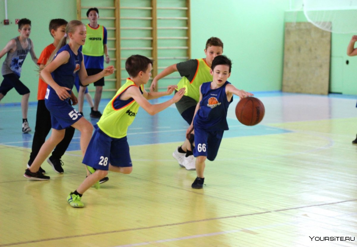 Баскетбол в школах России