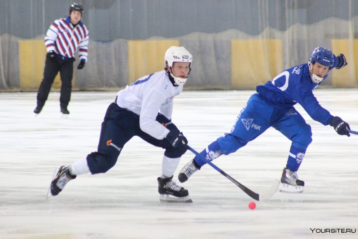 Команда Байкал энергия Иркутск хоккей с мячом