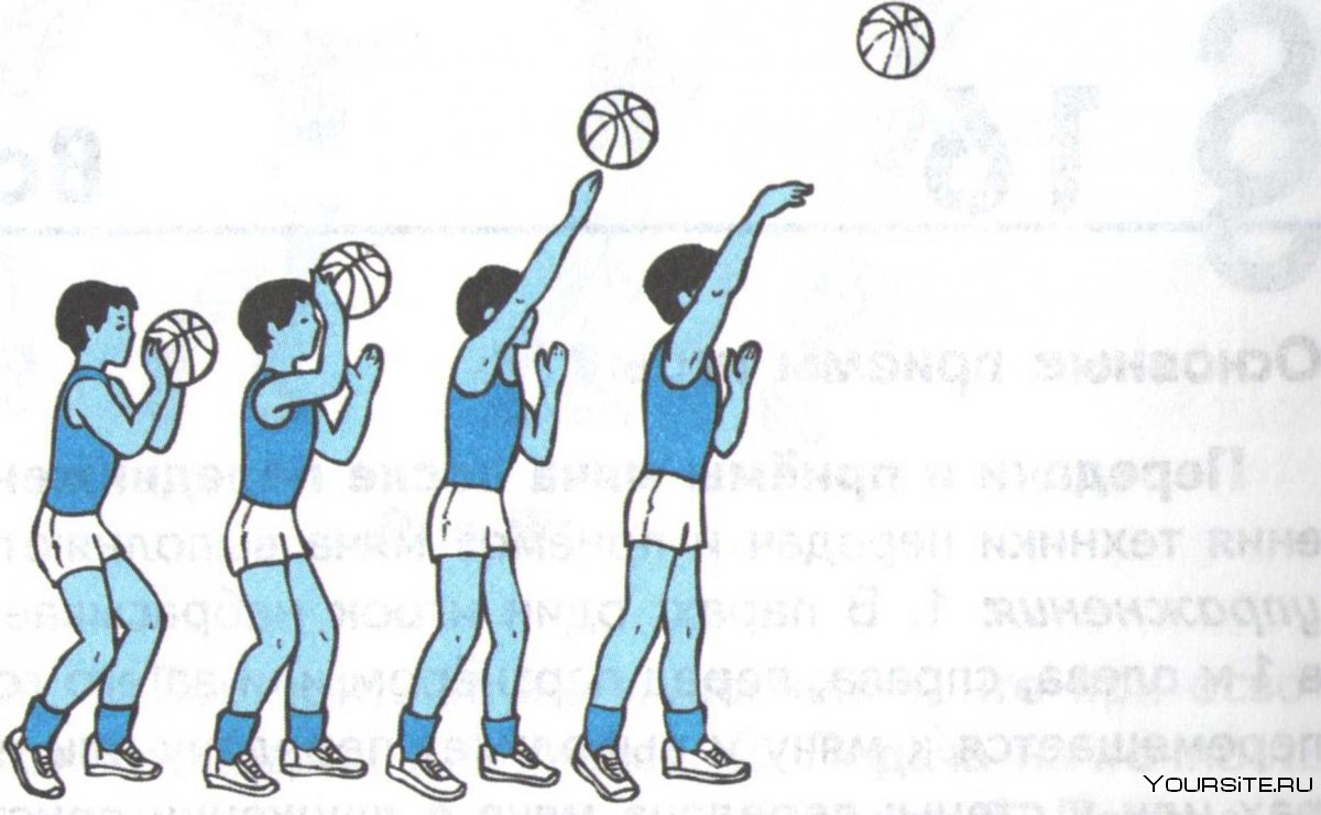 Основная техника броска баскетбольного мяча