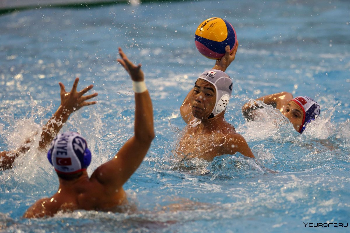 Fina Water Polo