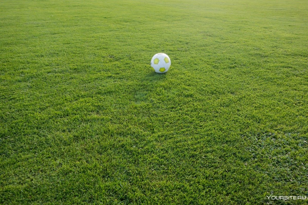 Футбольное поле газон
