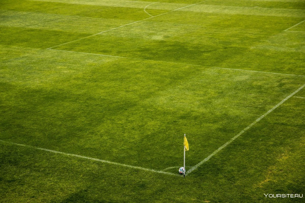 Футбольный газон