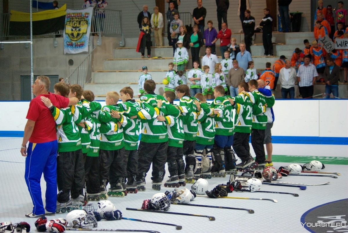 Чемпионат России по хоккею на роликовых коньках