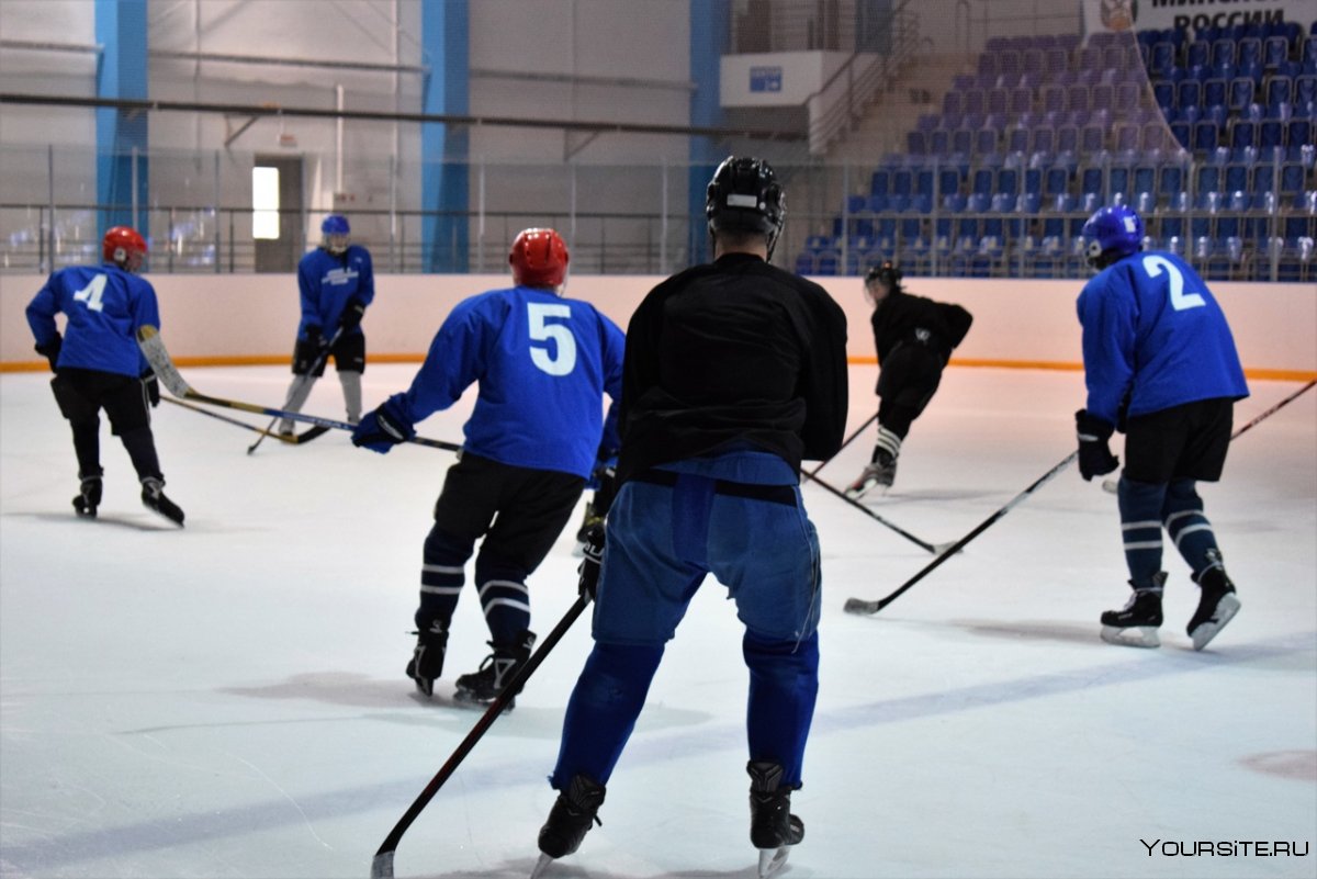 Чемпионат Курской области по хоккею с шайбой 2021