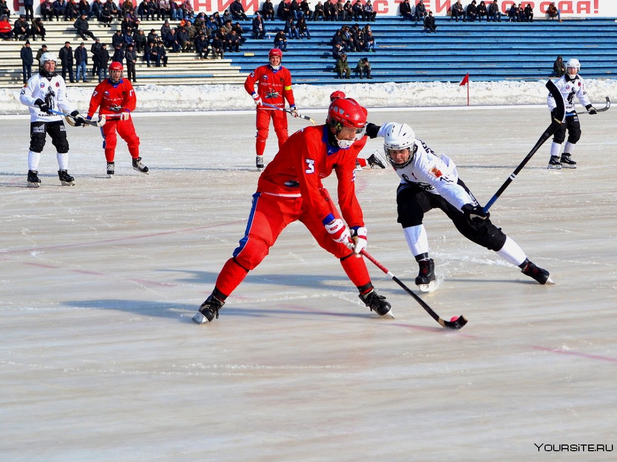 Хоккей с мячом Минусинск