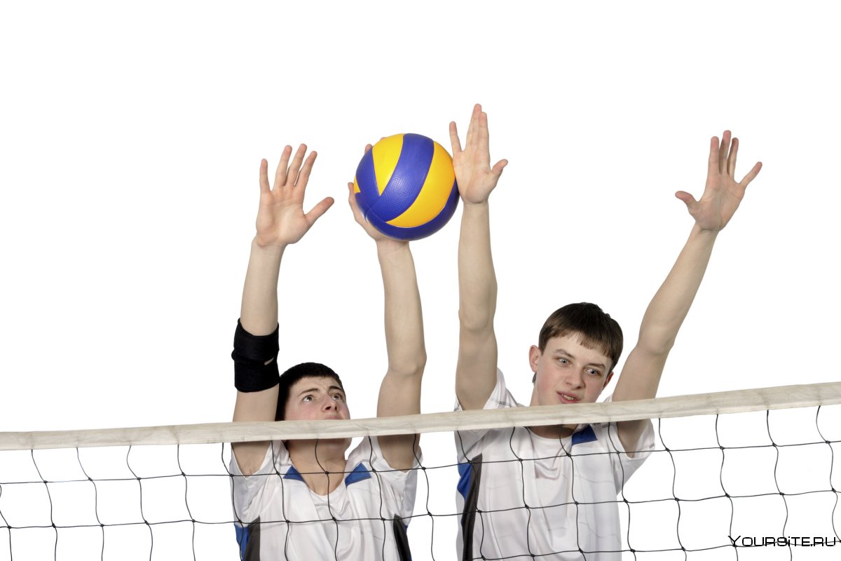 Игроки в волейбол на белом фоне