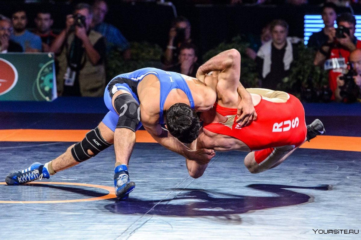 Wrestling Вольная борьба