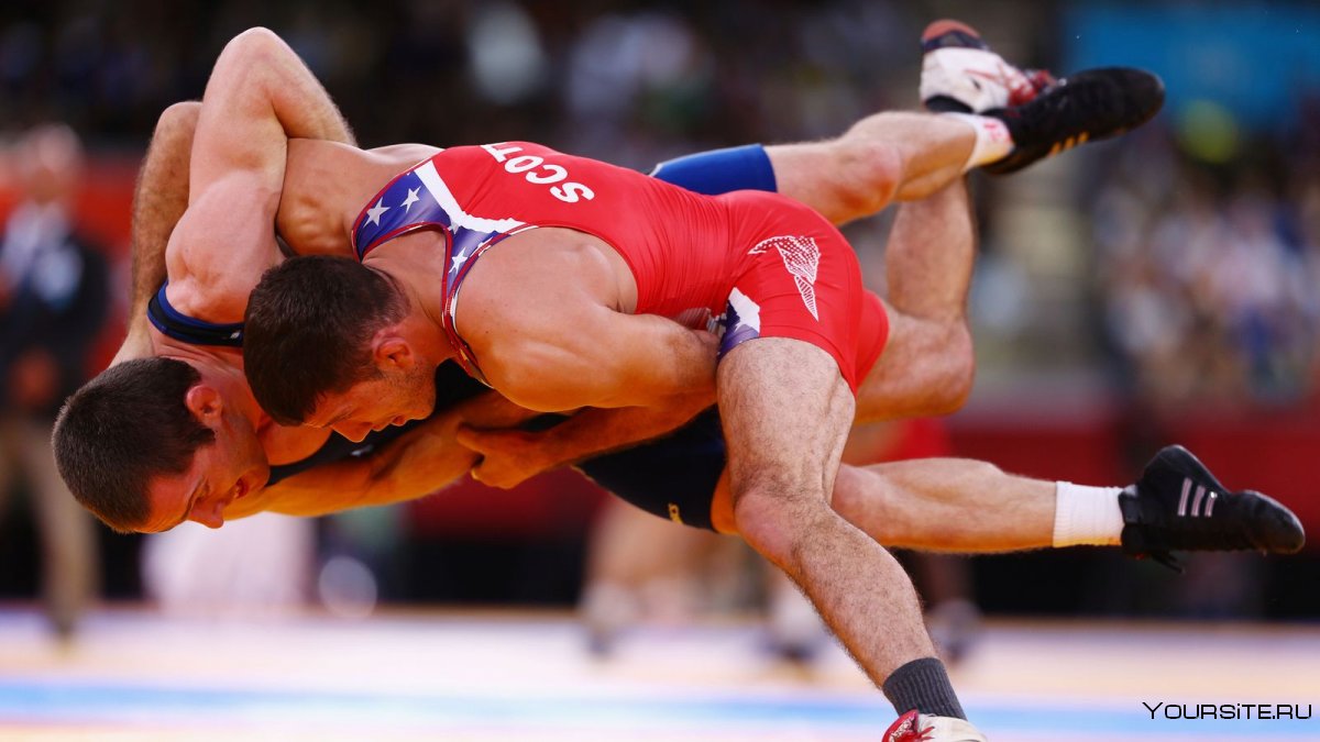 Спорт Вольная борьба