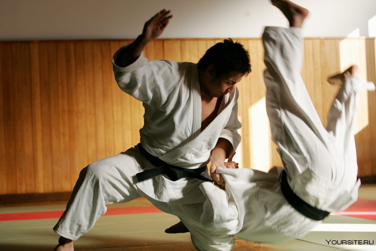 Боевые искусства Японии дзюдо