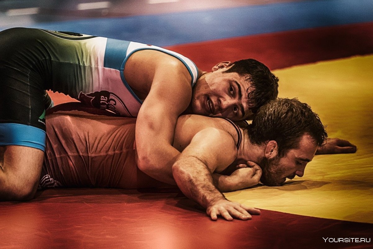 Спорт Вольная борьба