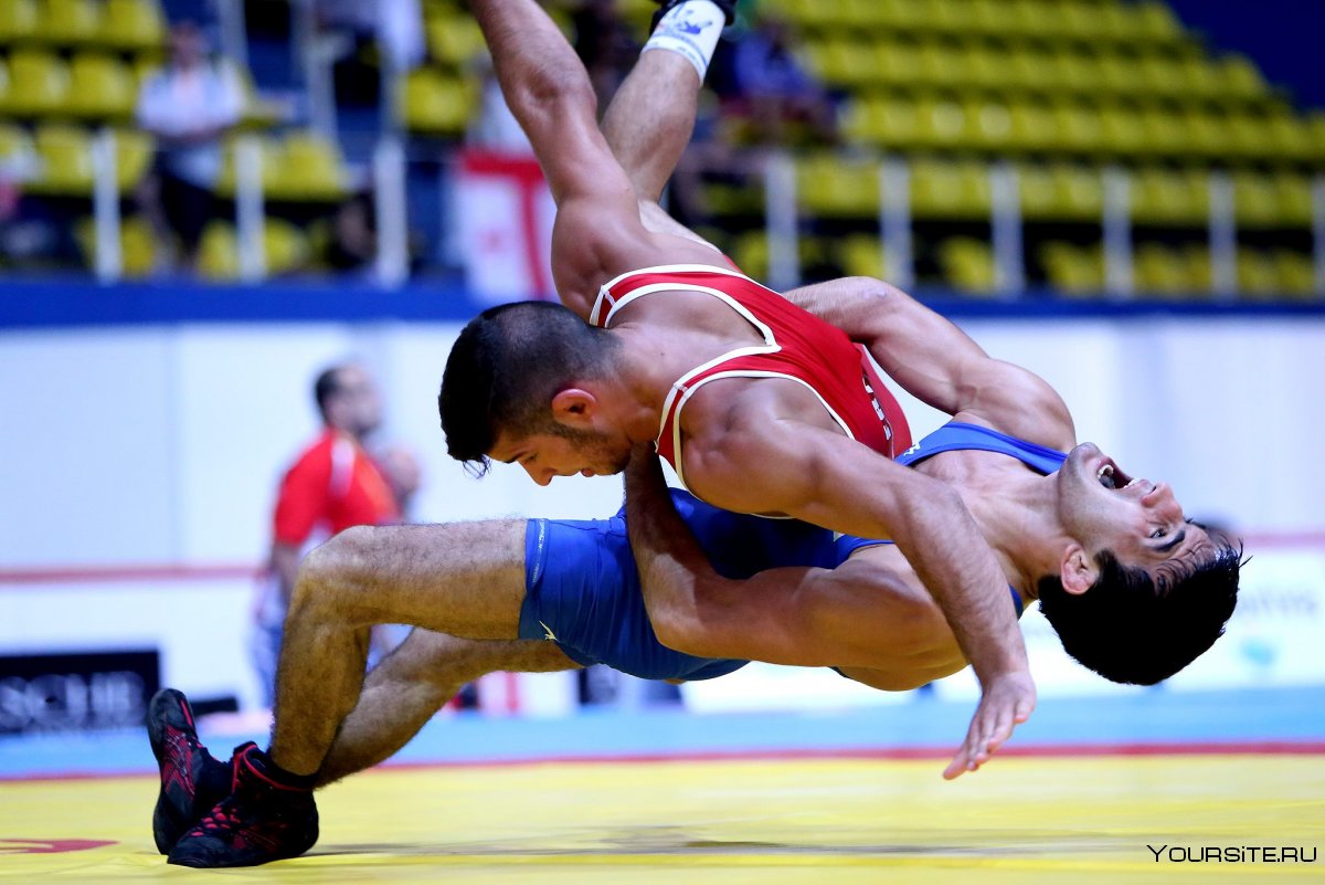 Спортивная борьба