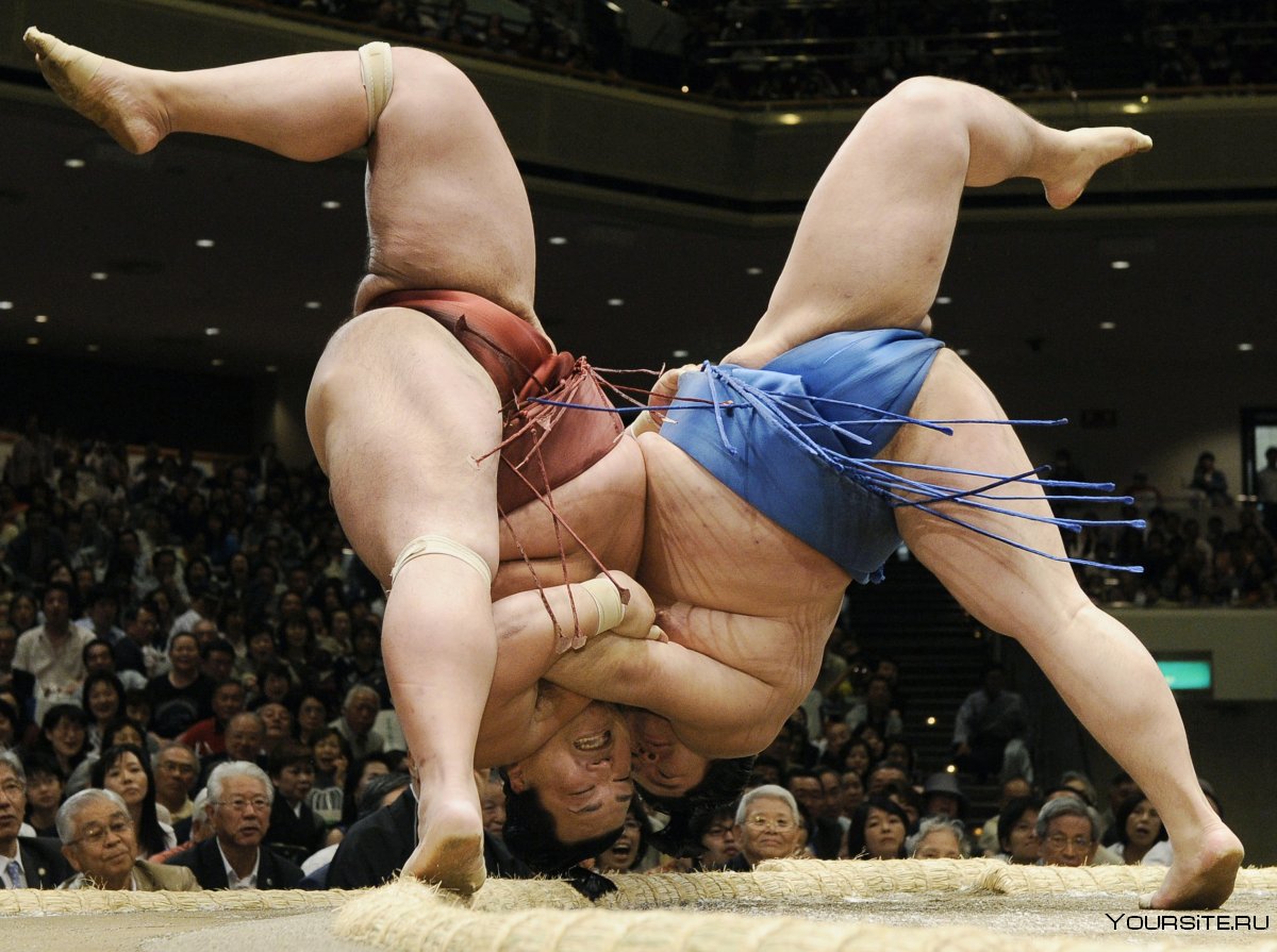 Японские боевые искусства сумо