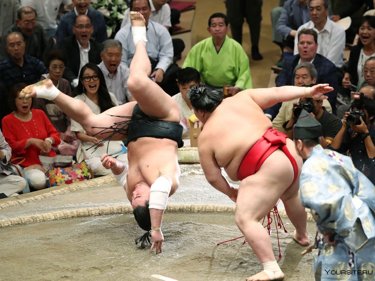 Вид спорта в Японии сумо