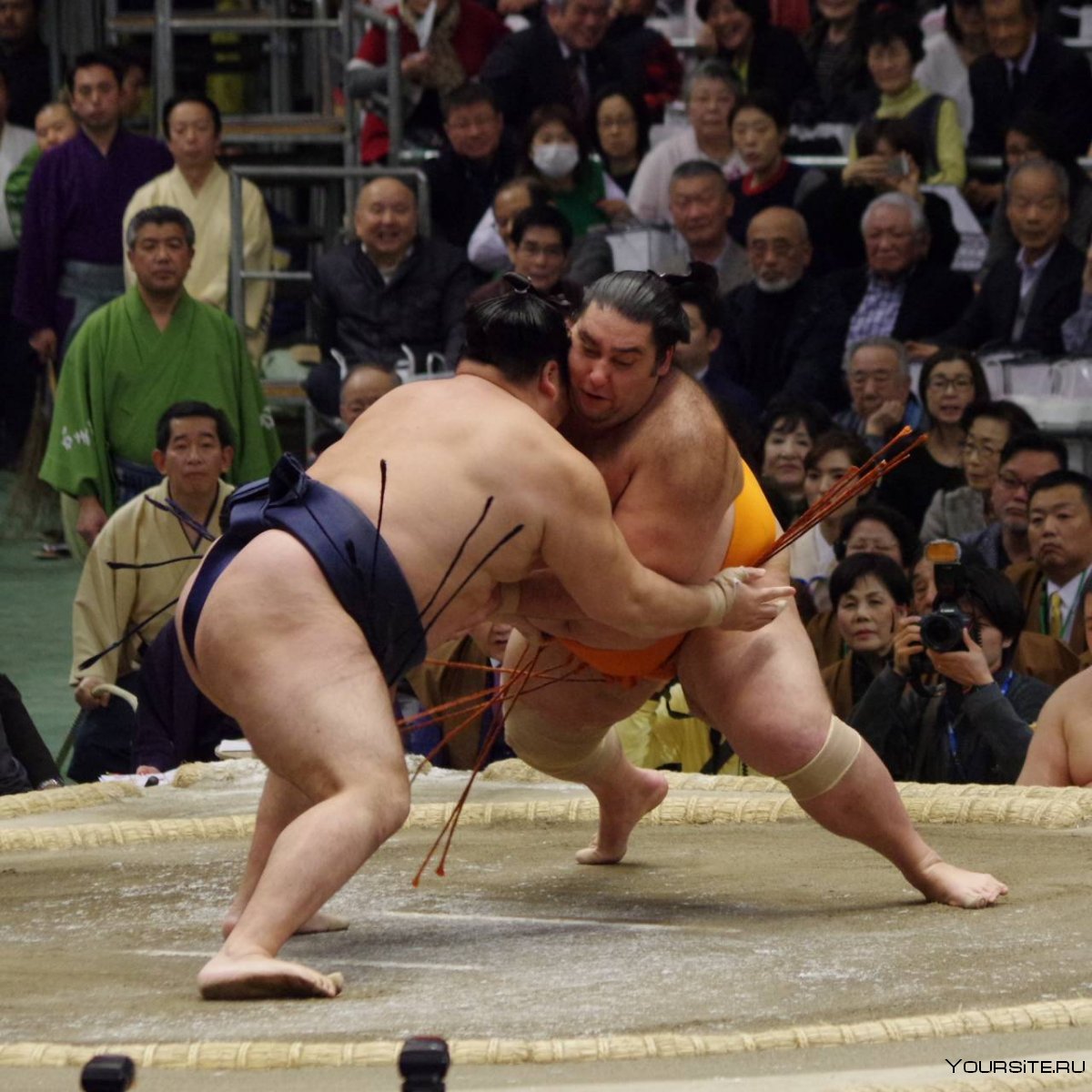 Николай Иванов – профессиональный борец сумо