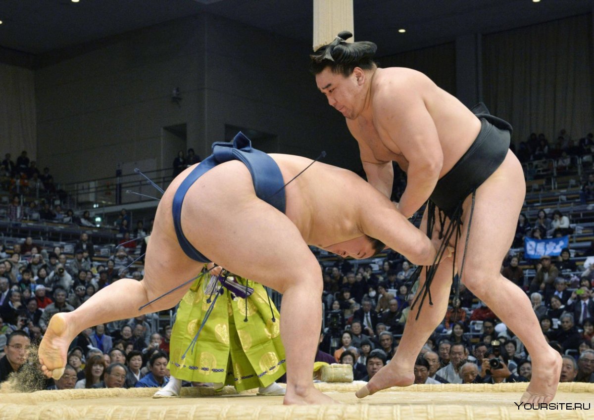 Японская Ассоциация сумо