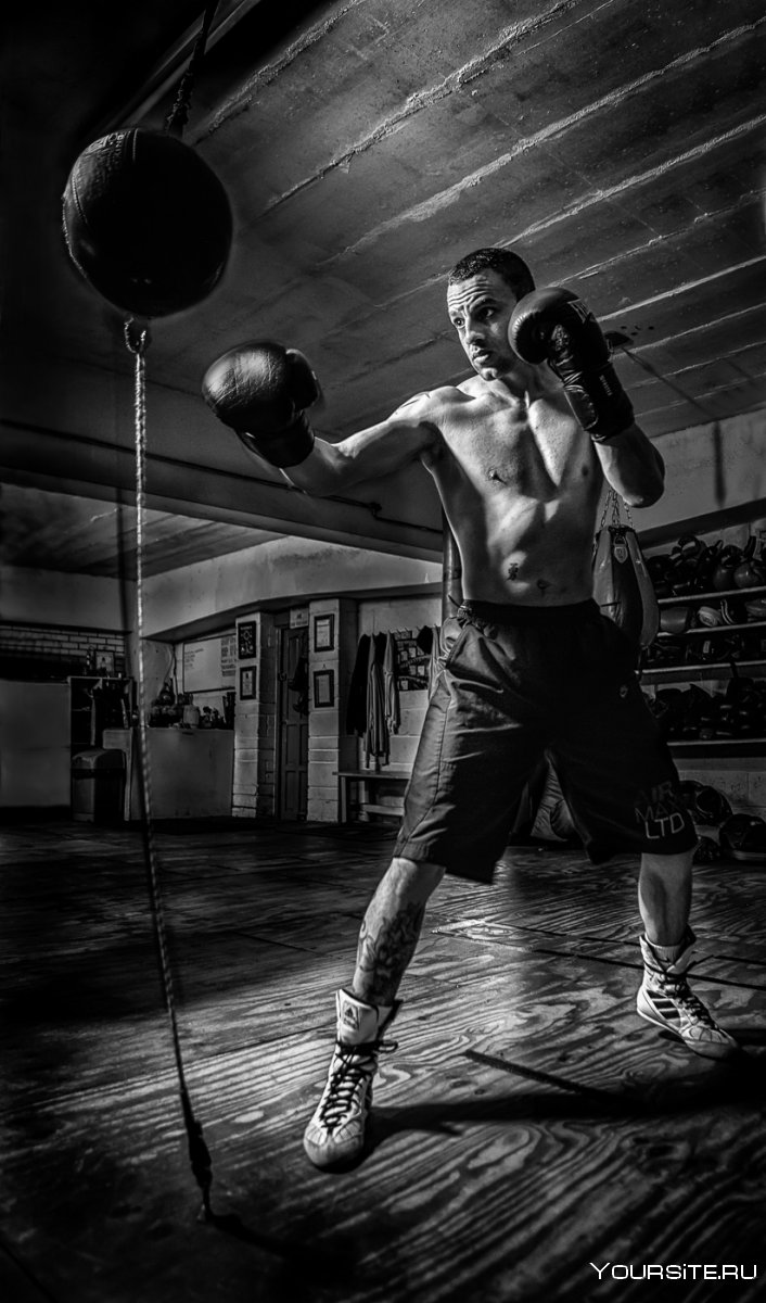 Боксер фотосет