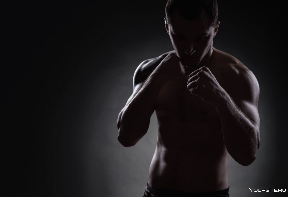 Боксер в тени