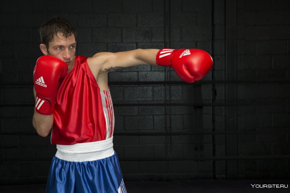 Бокс картинки