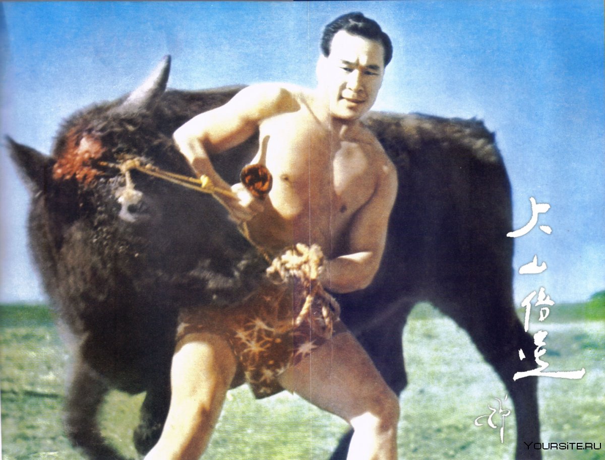 Масутацу Ояма бой