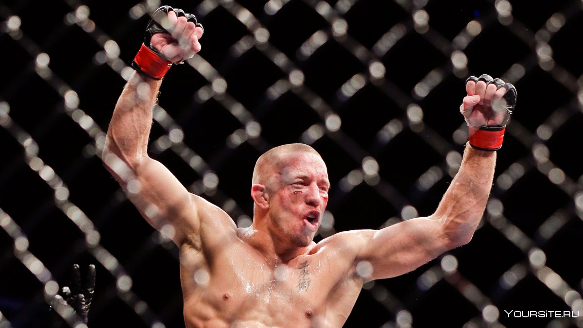 UFC middleweight