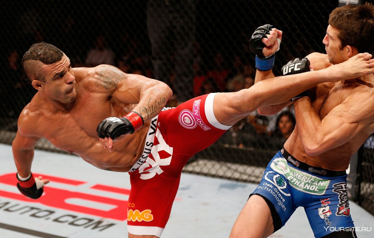 Нейт Диаз Масвидаль UFC 244