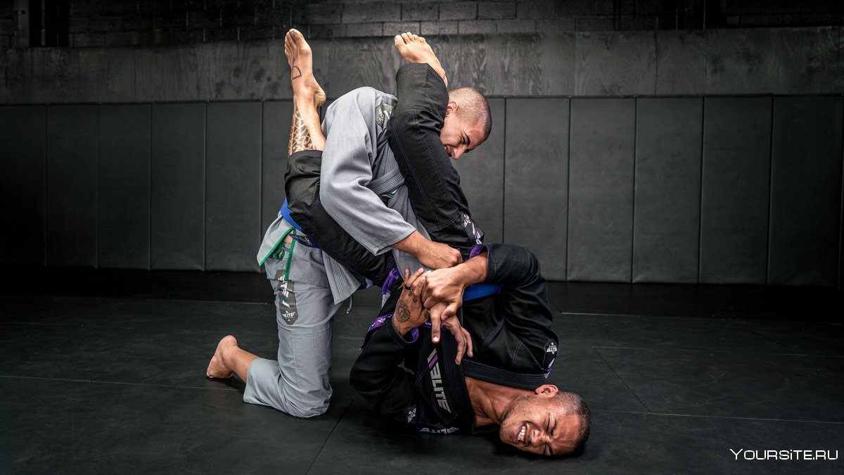 Бразильское Jiu Jitsu