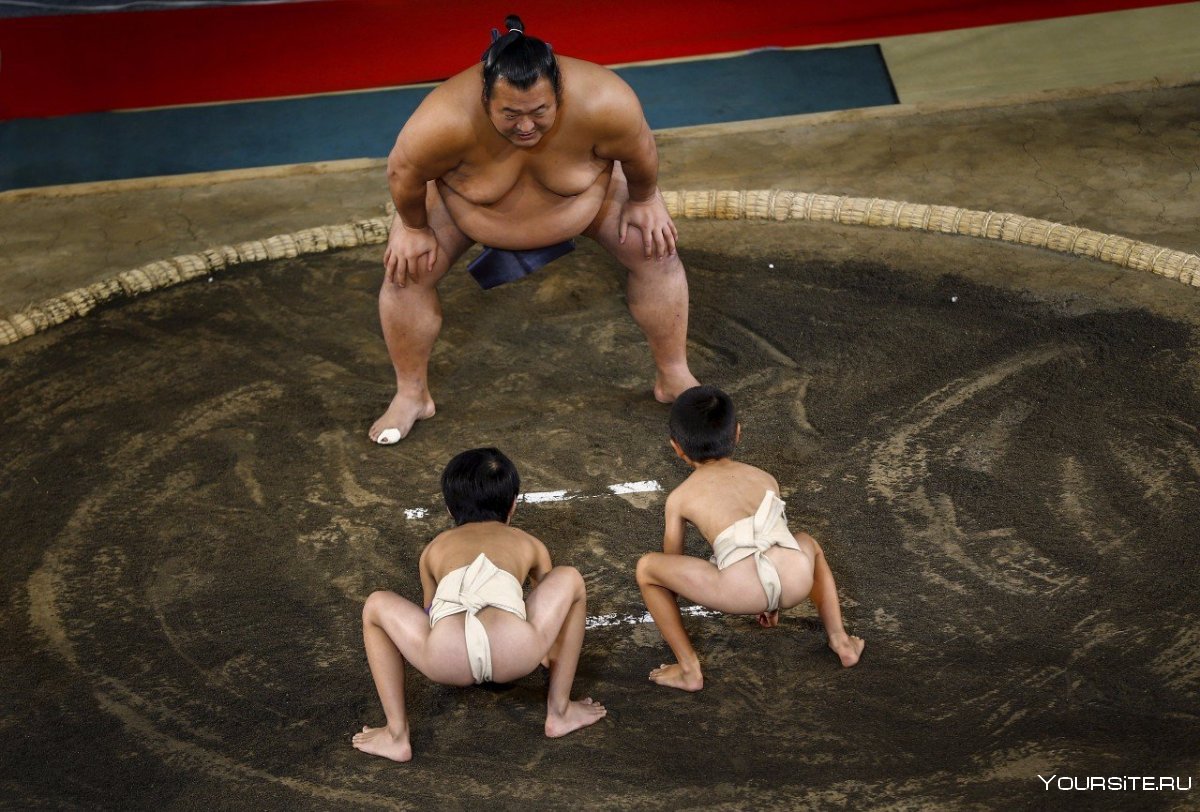 Борьба сумо