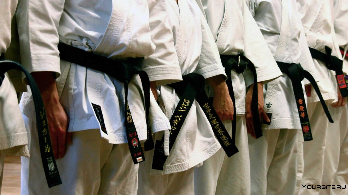 Shotokan Karate пояса