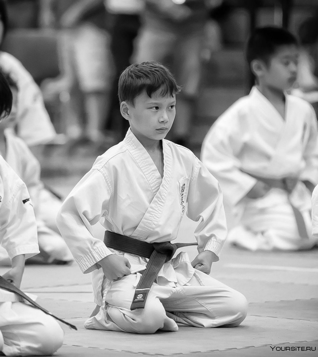 Karate_Kid каратэ киокушинкай