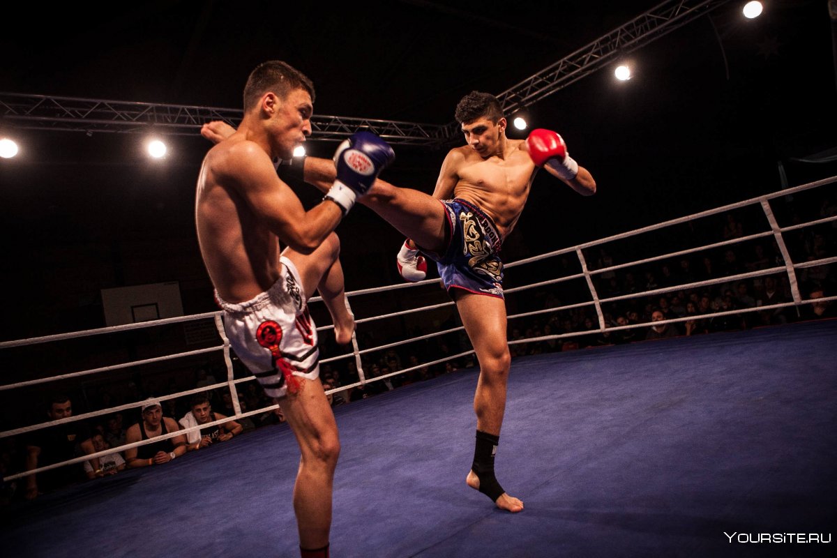 Джина Карано тайский бокс