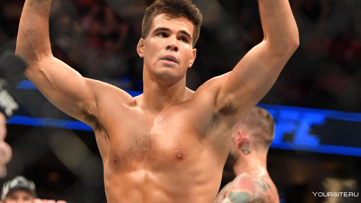 Микки Галл UFC